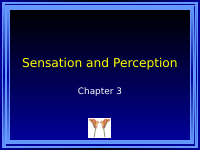Sensation and Perception-1.ppt